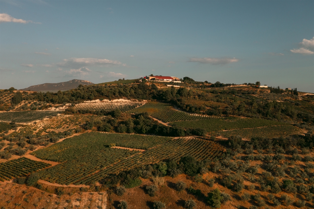 Das Weinbaugebiet von Nemea 6