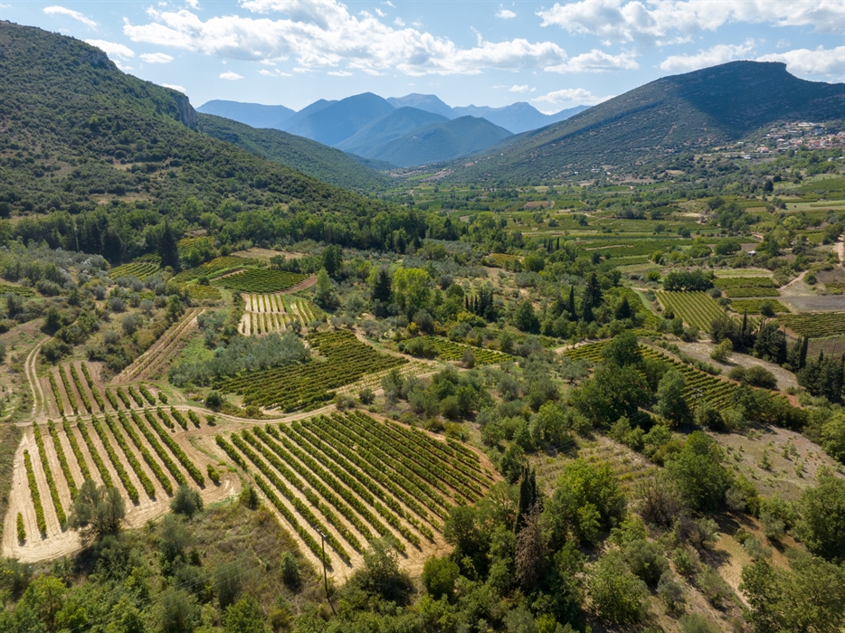 Das Weinbaugebiet von Nemea 8
