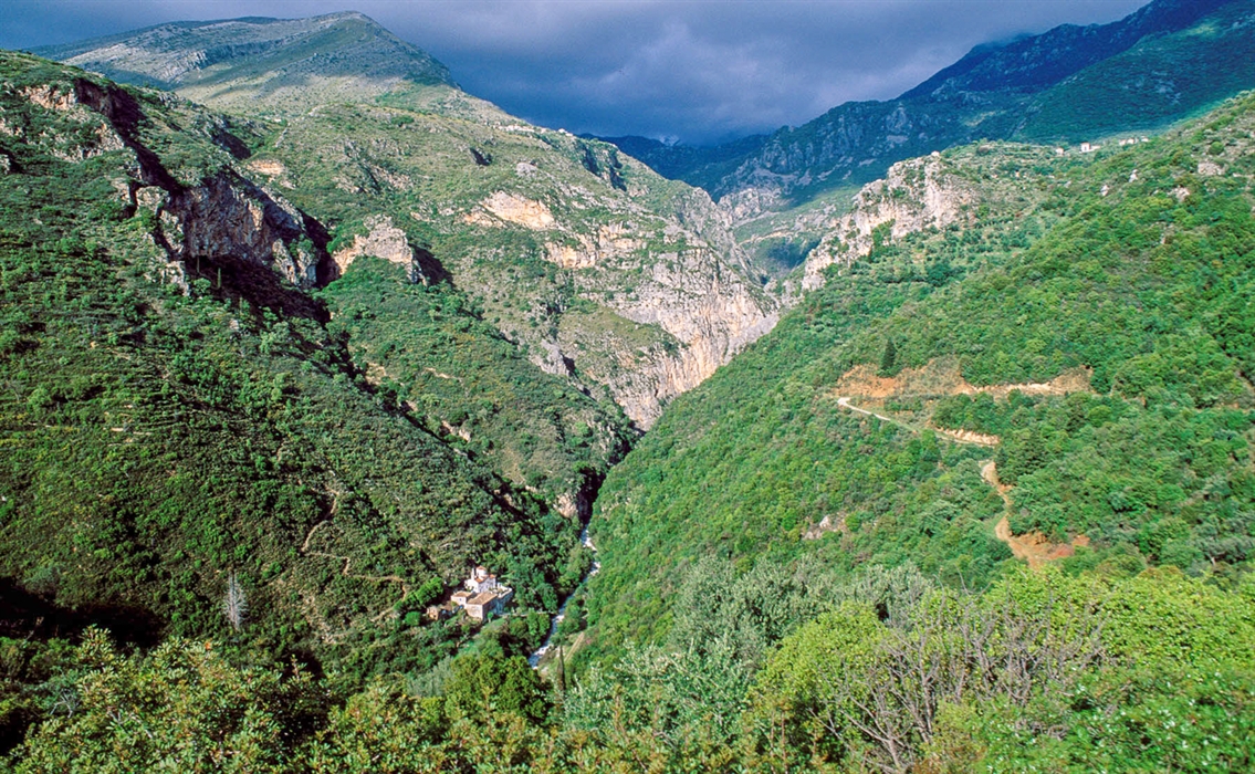 The Taygetus gorges in Messinia 5